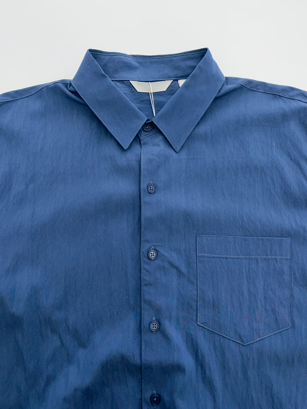 Pleated Dress Shirt