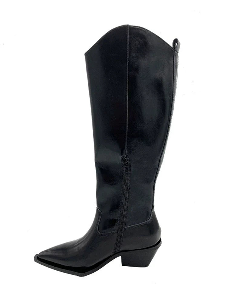 Pointed Leather Biker Boots